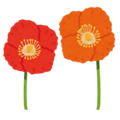 ポピー.png