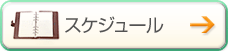スケジュール